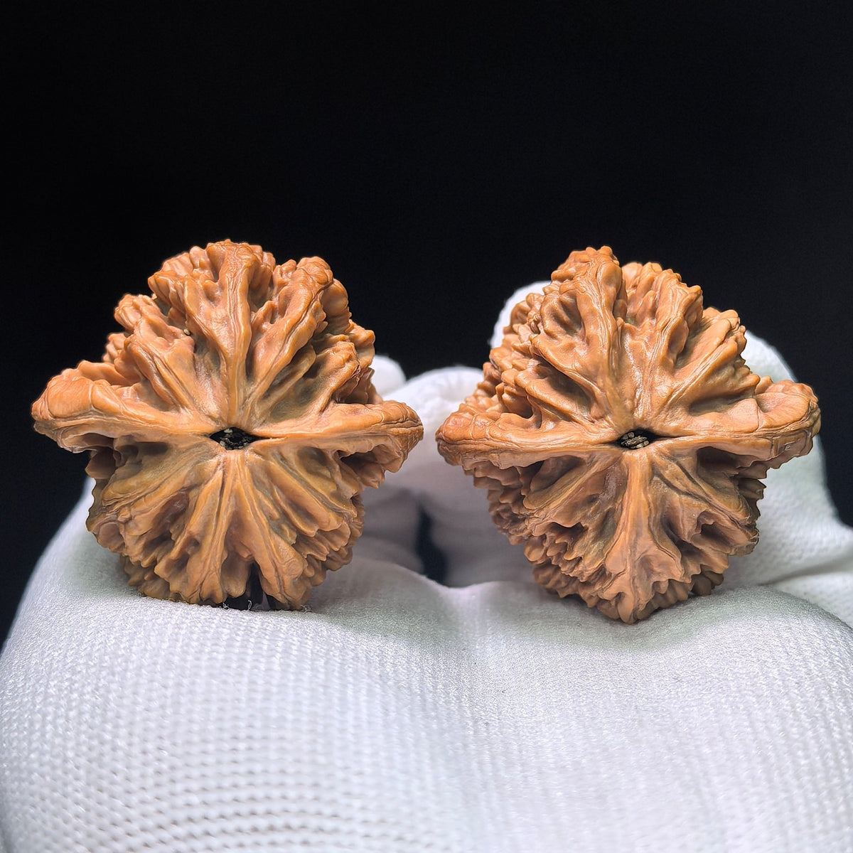 “Wheat-Ear Tigerhead” Maisui Hutou Wenwan Walnut Pair | 38.0mm × 38.0mm | MSHT-1408 - ThePatinaProject