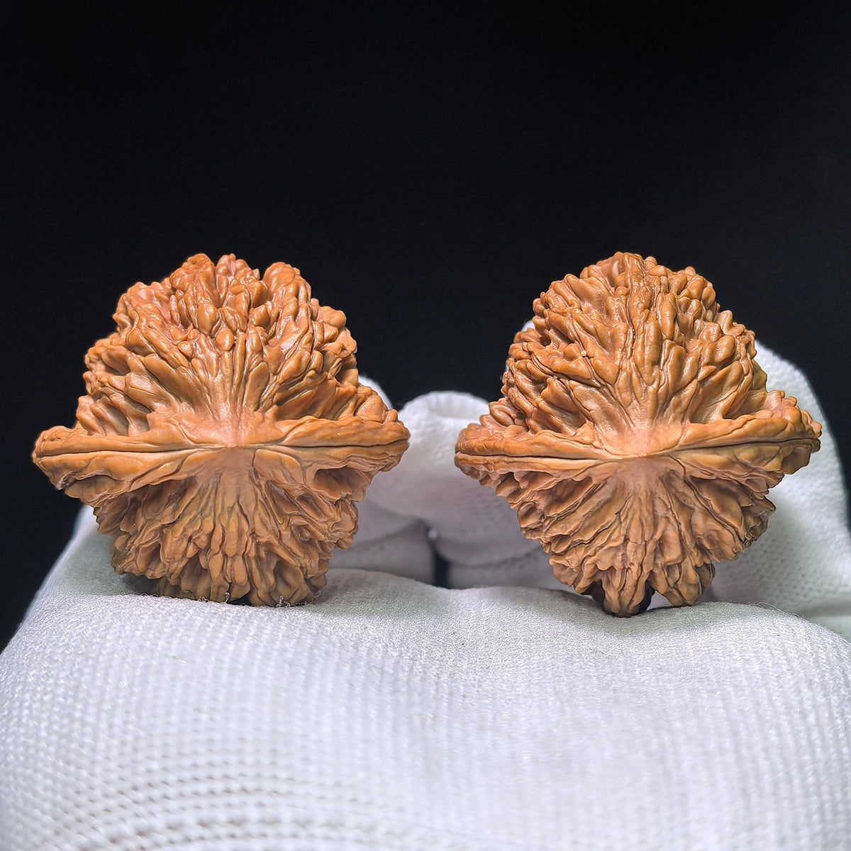 “Wheat-Ear Tigerhead” Maisui Hutou Wenwan Walnut Pair | 38.0mm × 38.0mm | MSHT-1408 - ThePatinaProject