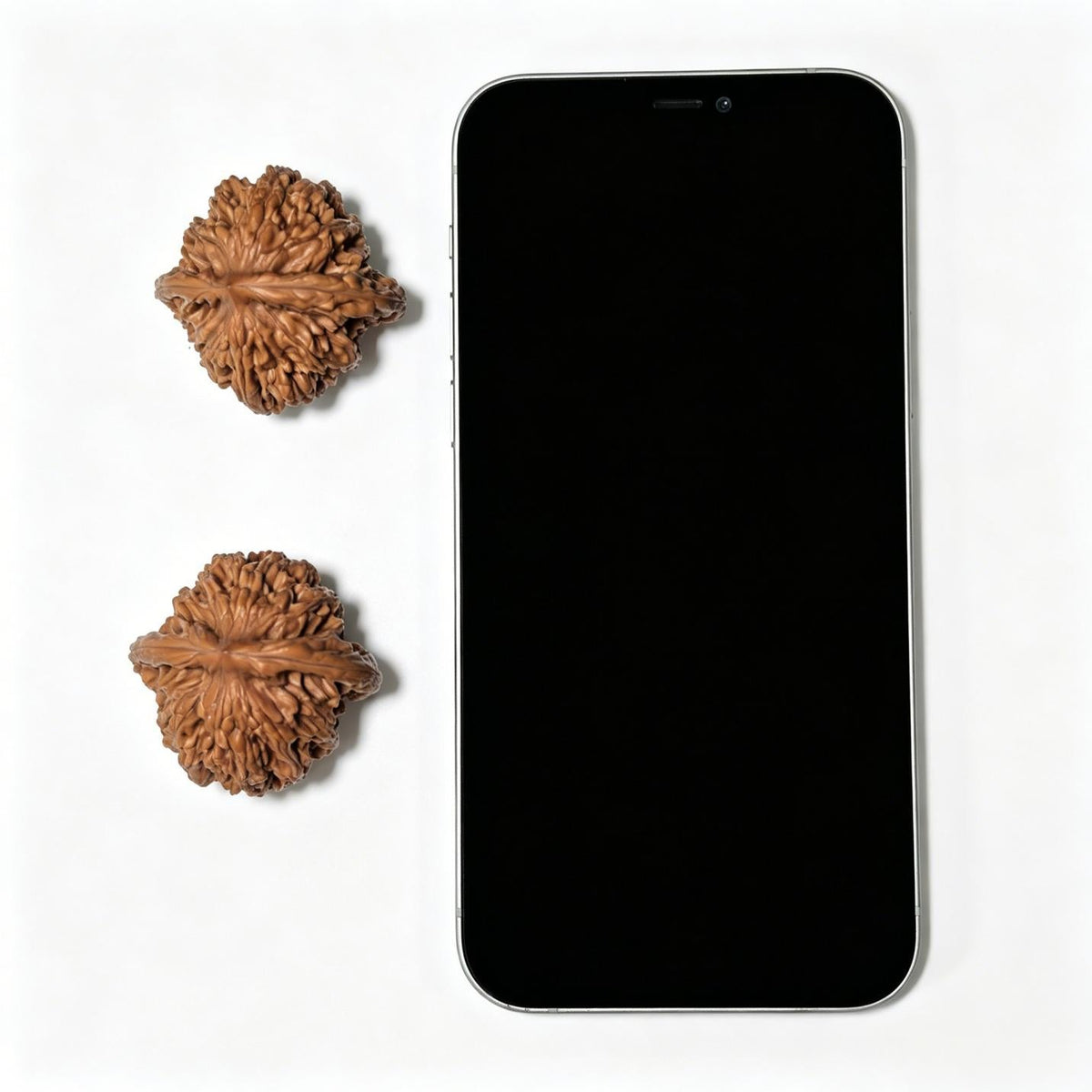 “Wheat-Ear Tigerhead” Maisui Hutou Wenwan Walnut Pair | 38.0mm × 38.0mm | MSHT-1408 - ThePatinaProject