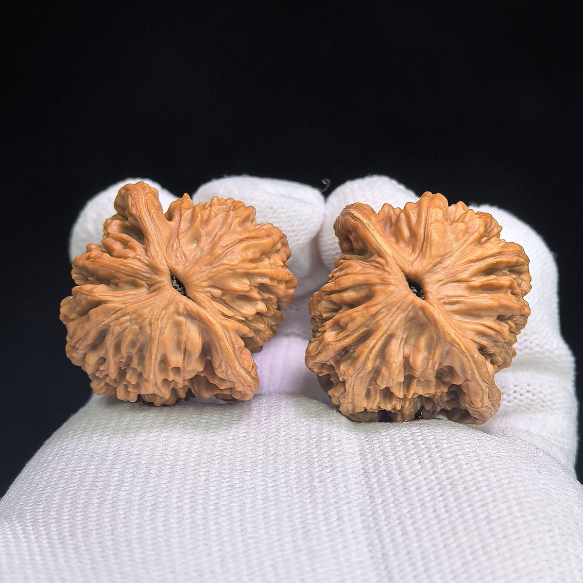 "Wheat Grain Tiger Head" Wheat Ear Tiger Head Heirloom Collection Wenwan Walnuts Pair | 33.0mm x 33.0mm | MSHT-1003 - ThePatinaProject