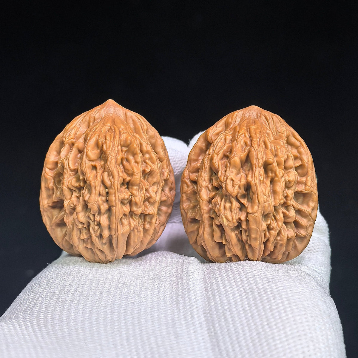 "Wheat Grain Tiger Head" Wheat Ear Tiger Head Heirloom Collection Wenwan Walnuts Pair | 33.0mm x 33.0mm | MSHT-1003 - ThePatinaProject
