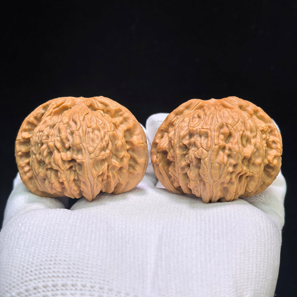 "White Lion" Baishizi Wenwan Walnuts (Pair) | 46.0mm x 43.0mm | Stock ID: BSJ-1553C - ThePatinaProject
