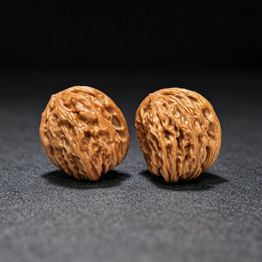 "White Lion Half-Wall" Baishizi Banbi Wenwan Walnuts Pair | 35.0mm x 42.0mm | BSJBB-C237E - ThePatinaProject