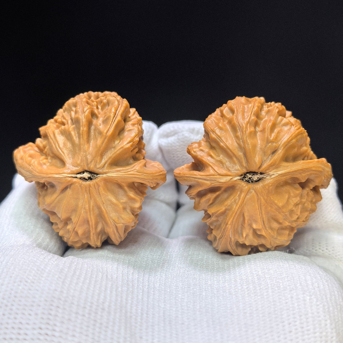 "White Lion Half-Wall" Baishizi Banbi Wenwan Walnuts Pair | 40.0mm x 41.0mm | BSJBB-C236E - ThePatinaProject