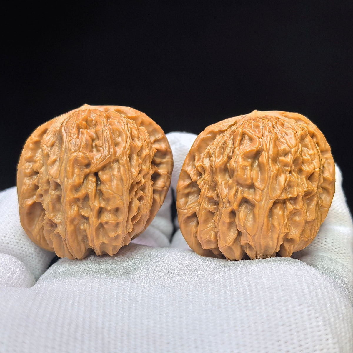 "White Lion Half-Wall" Baishizi Banbi Wenwan Walnuts Pair | 40.0mm x 41.0mm | BSJBB-C236E - ThePatinaProject