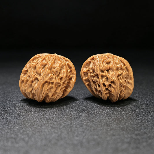 "White Lion Half-Wall" Baishizi Banbi Wenwan Walnuts Pair | 40.0mm x 41.0mm | BSJBB-C236E - ThePatinaProject
