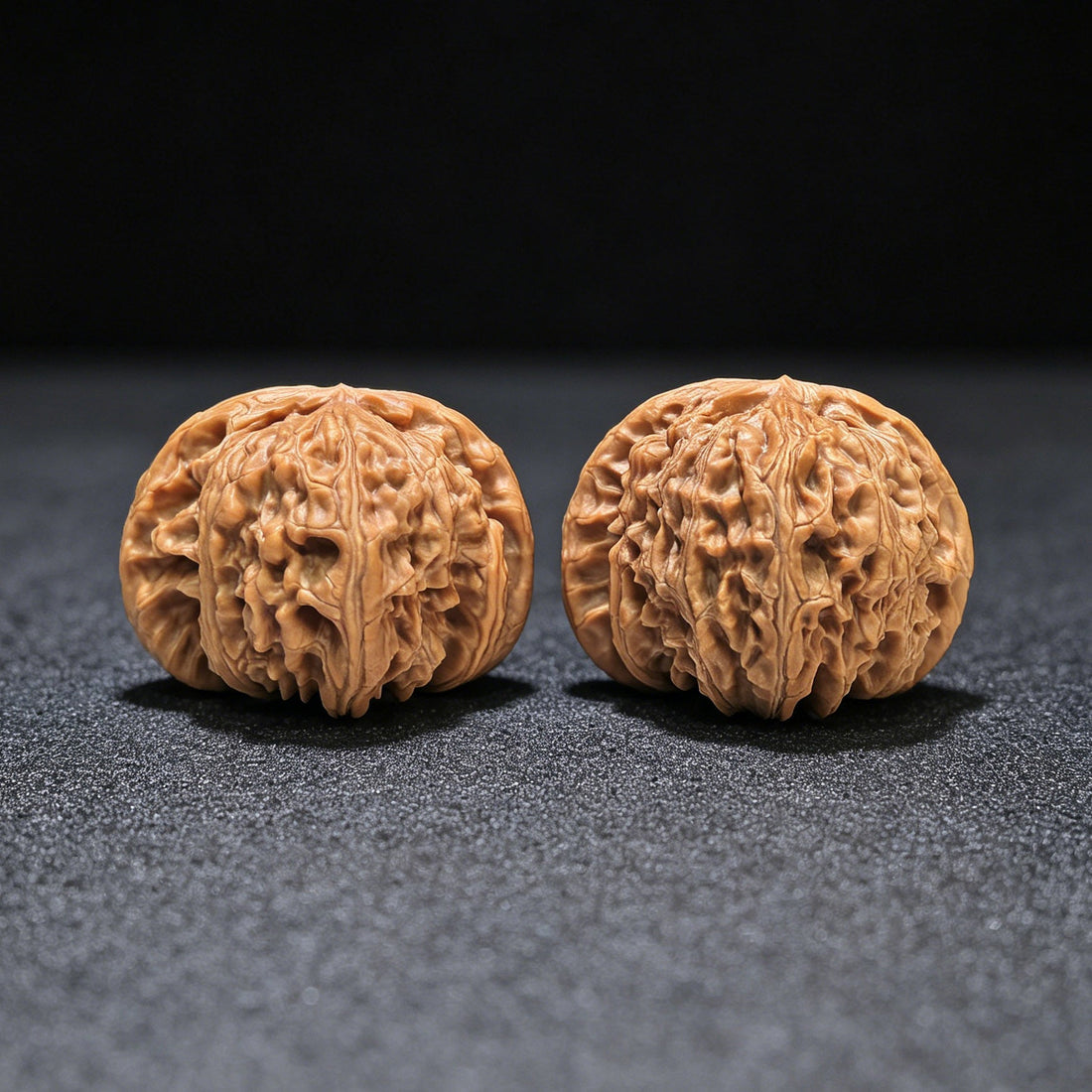 Large 45mm White Lion pair showing full shoulders and silhouette