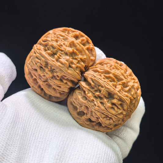 "White Lion Head" Bai Shishi Wenwan Walnuts Pair | 45.0mm x 43.0mm | BSJ-1552C - ThePatinaProject