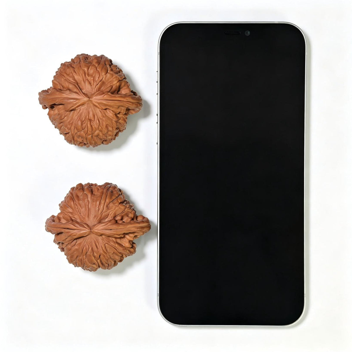 "White Lion Head" Bai Shishi Wenwan Walnuts Pair | 49.0mm x 44.0mm | BSJ-1551C - ThePatinaProject