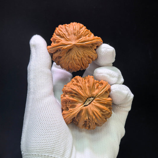 "White Lion Head" Bai Shishi Wenwan Walnuts Pair | 49.0mm x 44.0mm | BSJ-1551C - ThePatinaProject