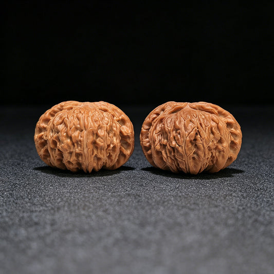 "White Lion Head" Bai Shishi Wenwan Walnuts Pair | 49.0mm x 44.0mm | BSJ-1551C - ThePatinaProject