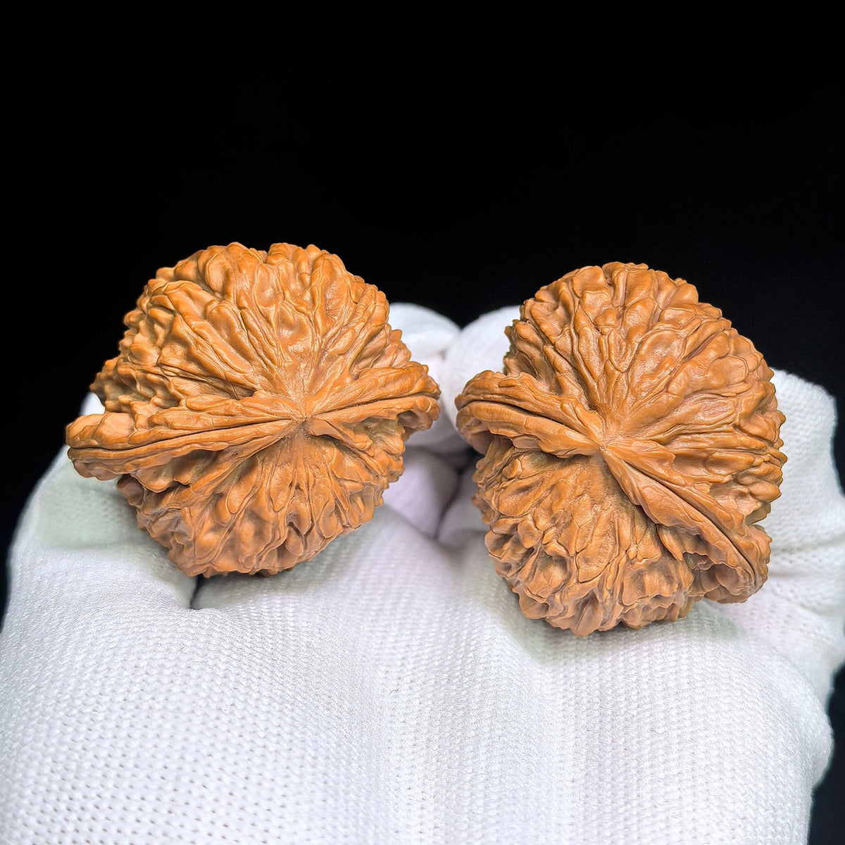 White Lion “Pufferfish” Half-Wall Wenwan Walnut Pair — 40.0mm x 29.0mm | BSZBB-1402E - ThePatinaProject