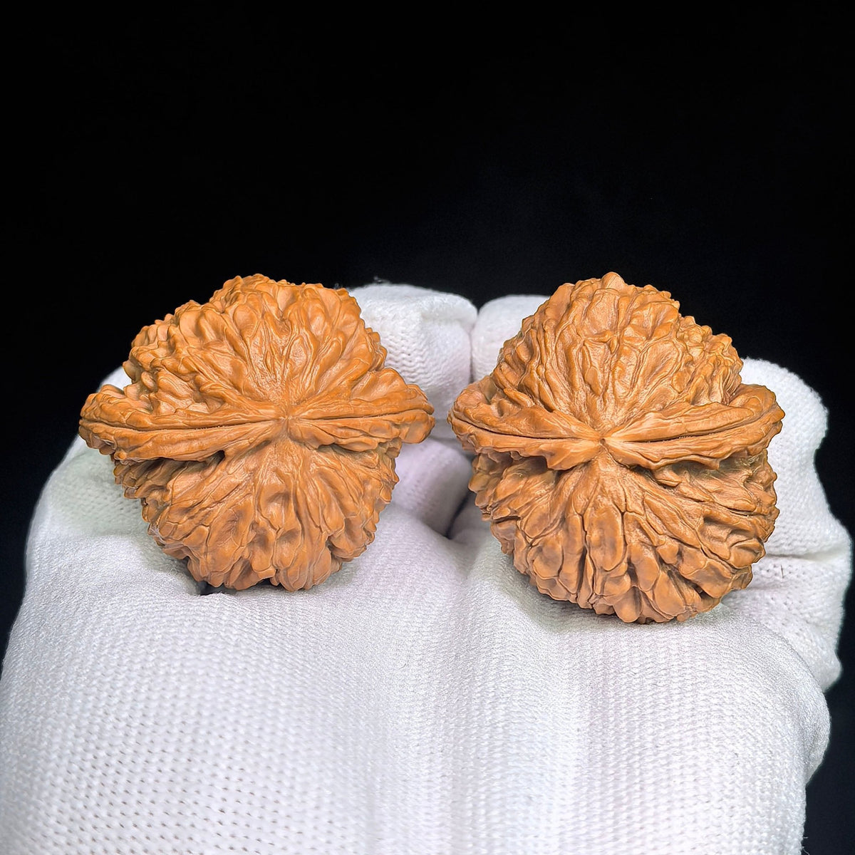White Lion “Pufferfish” Half-Wall Wenwan Walnut Pair — 40.0mm x 29.0mm | BSZBB-1402E - ThePatinaProject