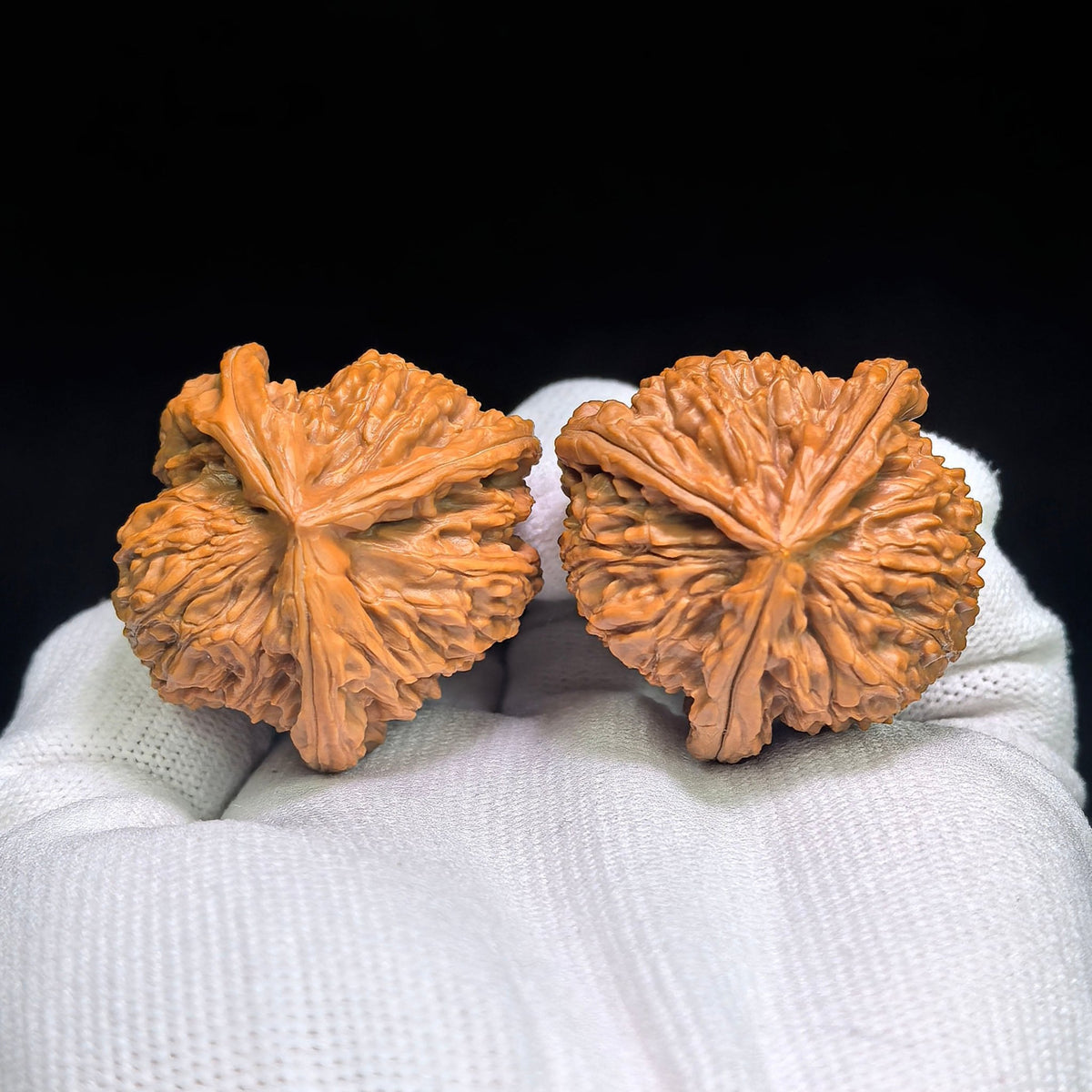 White Lion Three-Ridge Wenwan Walnut Pair — 37.0mm x 39.0mm | BSZSN-1401E - ThePatinaProject