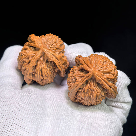 White Lion Three-Ridge Wenwan Walnut Pair — 37.0mm x 39.0mm | BSZSN-1401E - ThePatinaProject