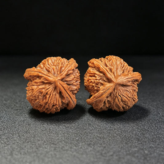 White Lion Three-Ridge Wenwan Walnut Pair — 37.0mm x 39.0mm | BSZSN-1401E - ThePatinaProject