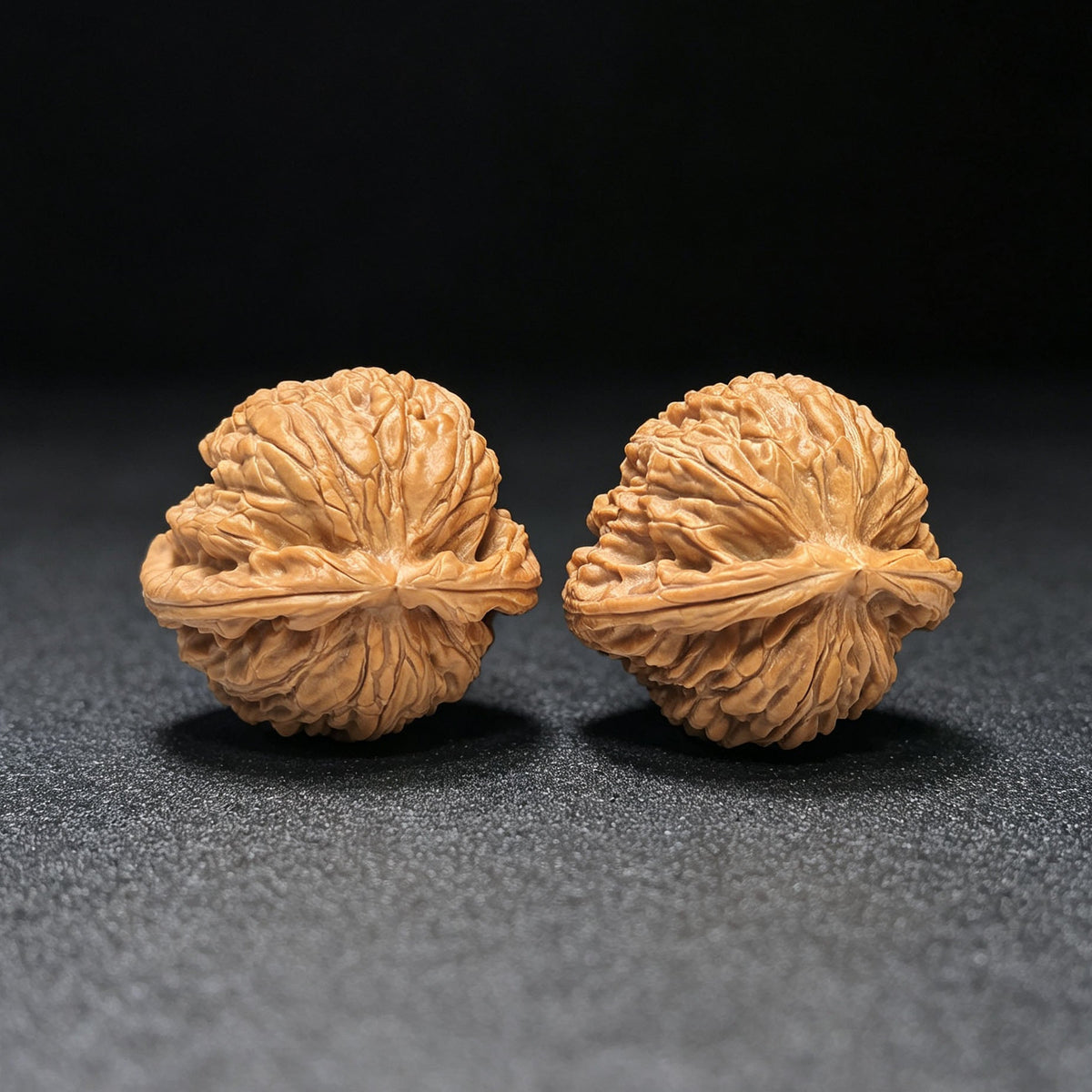 "White Lion Turtle-Back" Baishizi Wuguibei Wenwan Walnuts Pair | 42.0mm x 40.0mm | BSJWGB-C235E - ThePatinaProject