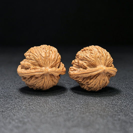 "White Lion Turtle-Back" Baishizi Wuguibei Wenwan Walnuts Pair | 42.0mm x 40.0mm | BSJWGB-C235E - ThePatinaProject