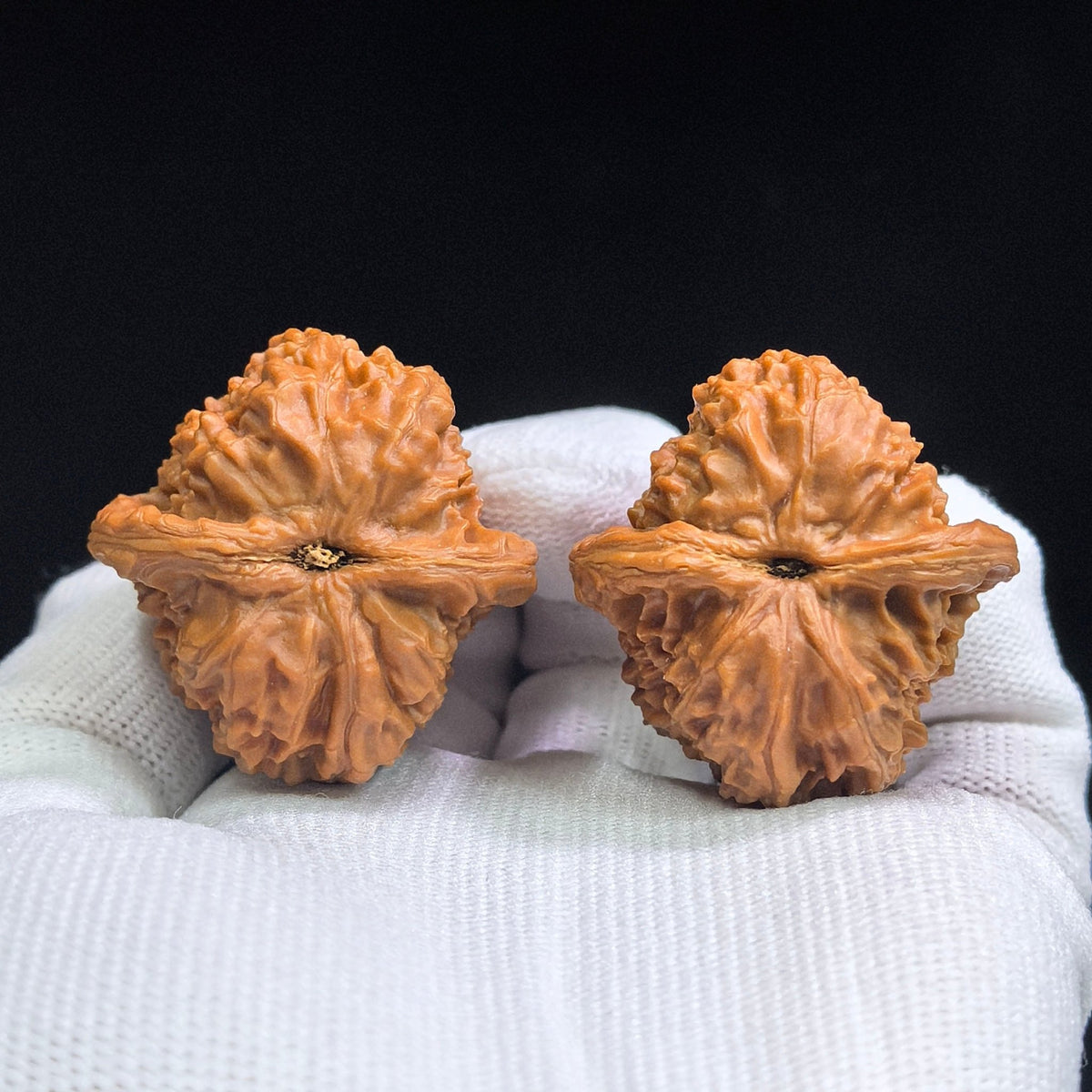 White Lion Wenwan Walnuts Pair | Deep Natural Texture | 36.0mm × 36.0mm | BSZ-1631 - ThePatinaProject
