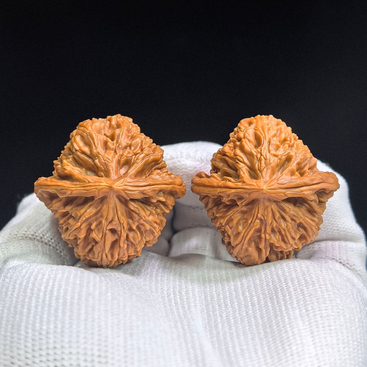 White Lion Wenwan Walnuts Pair | Deep Natural Texture | 36.0mm × 36.0mm | BSZ-1631 - ThePatinaProject
