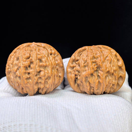 "White Lionhead" Baishizi BSJ-SY1C1 Low-Profile Wenwan Walnuts Pair | 39.0mm x 41.0mm | BSJ-SY1C1 - ThePatinaProject