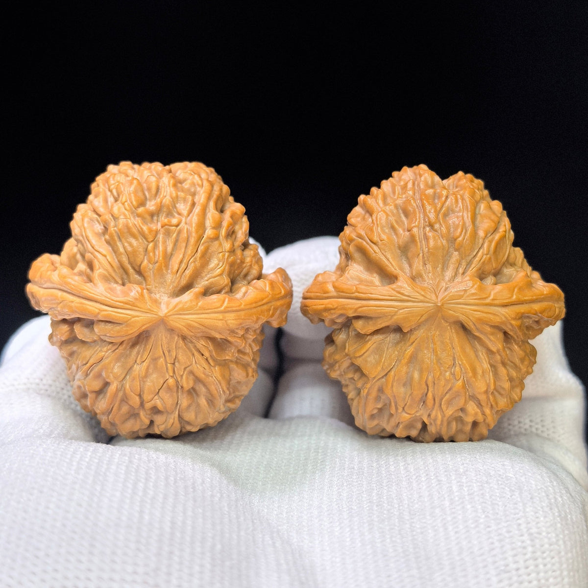 "White Lionhead" Baishizi BSJ-SY1C1 Low-Profile Wenwan Walnuts Pair | 39.0mm x 41.0mm | BSJ-SY1C1 - ThePatinaProject
