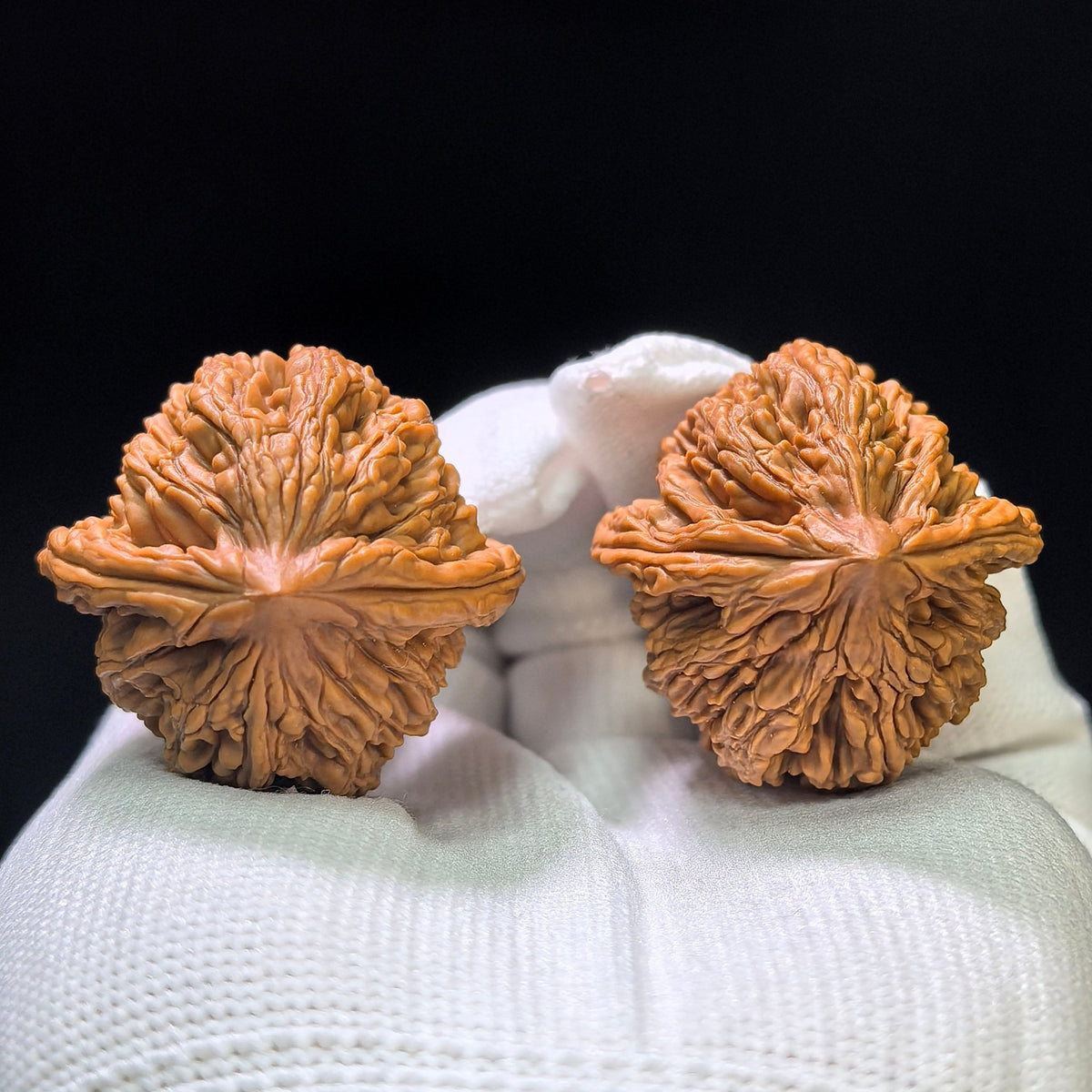 "Wild Cultivar" Yesheng Wenwan Walnuts (Pair) | 34.0mm x 36.0mm | Stock ID: YS-1101 - ThePatinaProject