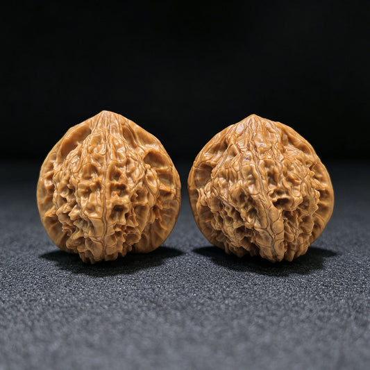"Wild Cultivar" Yesheng Wenwan Walnuts (Pair) | 41.0mm x 41.0mm | Stock ID: YS-1102 - ThePatinaProject