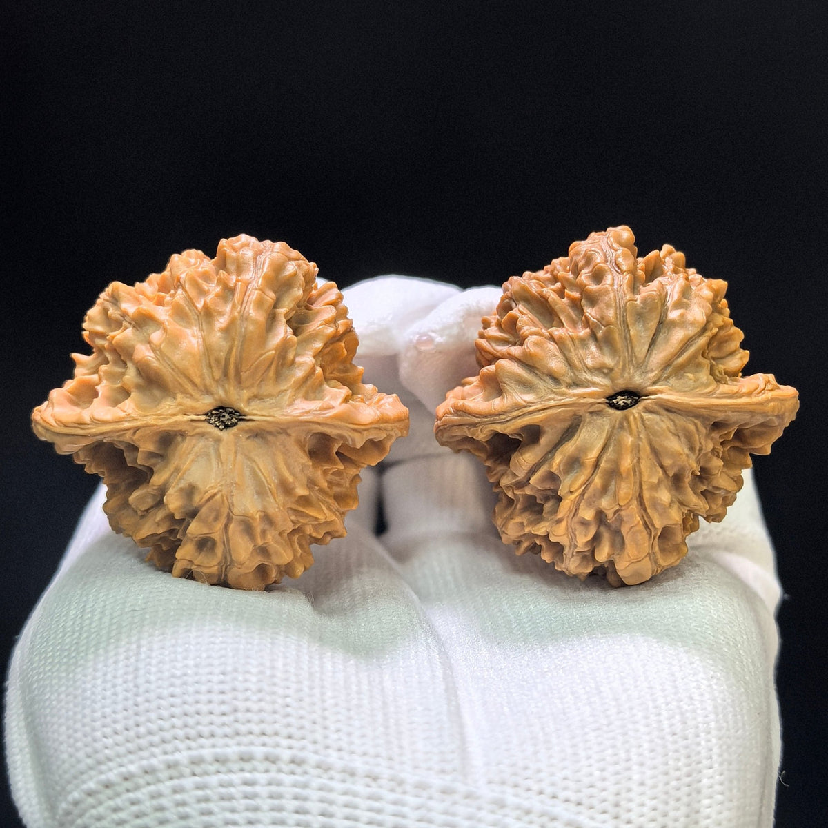 "Wild Cultivar" Yesheng Wenwan Walnuts (Pair) | 41.0mm x 41.0mm | Stock ID: YS-1102 - ThePatinaProject
