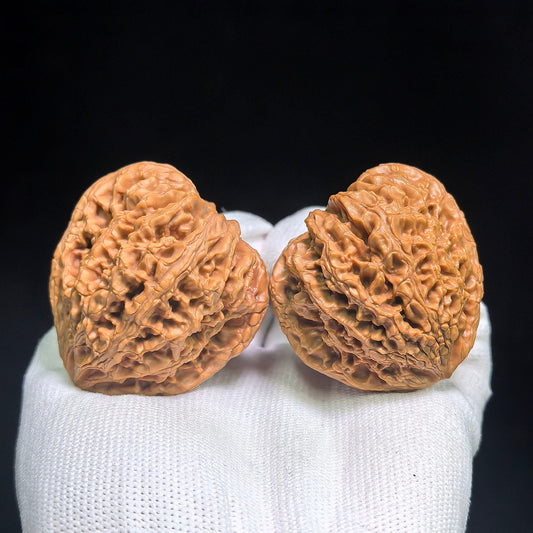 Wild-Form “Golden-Maned Lion King / Tian Can Jiao” Wenwan Walnut Pair — 46.0mm x 43.0mm | JMSW-C1E4E - ThePatinaProject