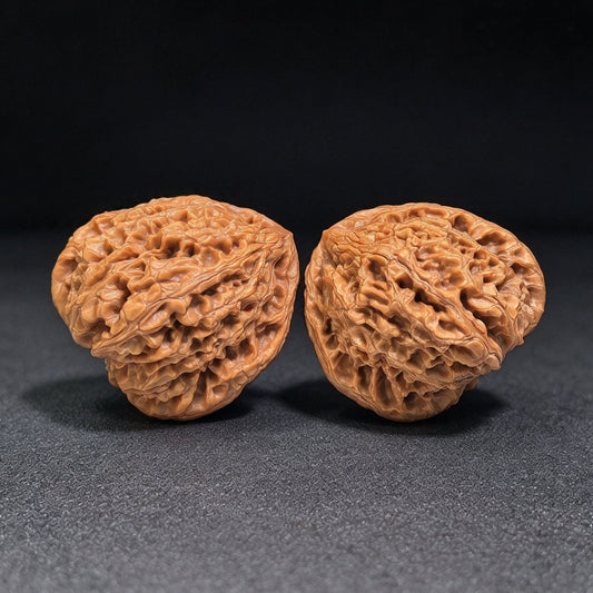Wild-Form “Golden-Maned Lion King / Tian Can Jiao” Wenwan Walnut Pair — 46.0mm x 43.0mm | JMSW-C1E4E - ThePatinaProject