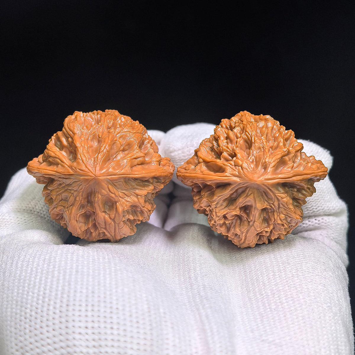 Wild-Form “Tian Can Jiao” Wenwan Walnuts Pair | Compact Sculptural Form | 33.0mm × 30.0mm | YSTCJ-C1E0E - ThePatinaProject