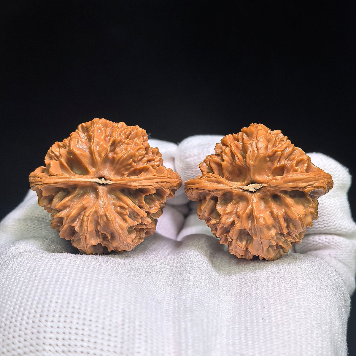 Wild-Form “Tian Can Jiao” Wenwan Walnuts Pair | Compact Sculptural Form | 33.0mm × 30.0mm | YSTCJ-C1E0E - ThePatinaProject