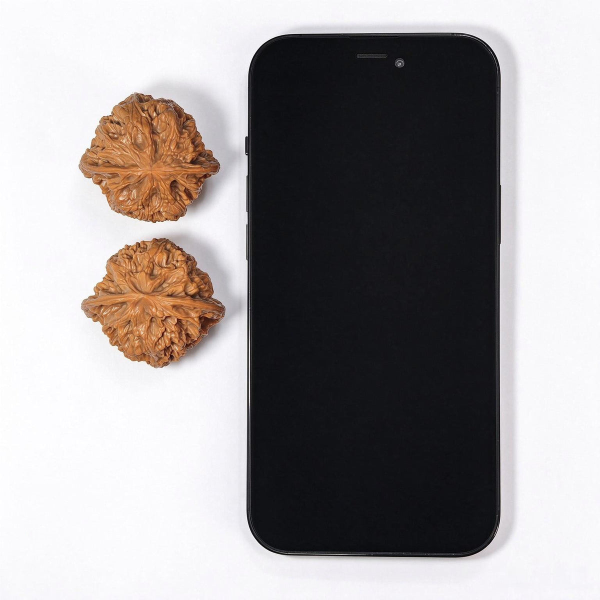 Wild-Form “Tian Can Jiao” Wenwan Walnuts Pair | Compact Sculptural Form | 33.0mm × 30.0mm | YSTCJ-C1E0E - ThePatinaProject