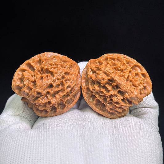 Wild-Form “Tian Can Jiao” Wenwan Walnuts Pair | Compact Sculptural Form | 33.0mm × 30.0mm | YSTCJ-C1E0E - ThePatinaProject