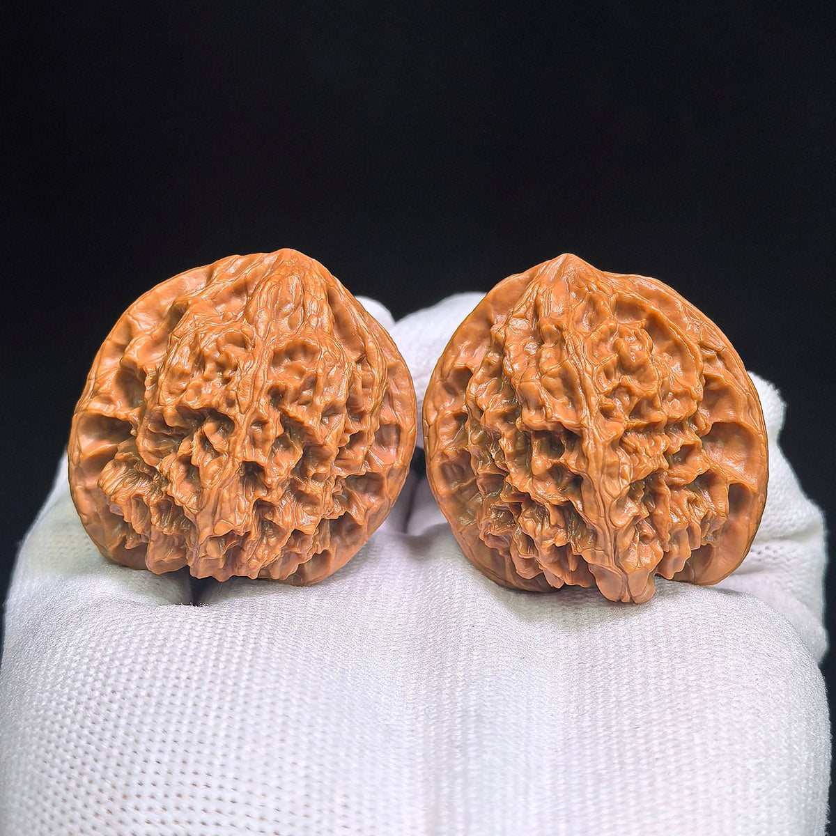 Wild-Form “Tian Can Jiao” Wenwan Walnuts Pair | Compact Sculptural Form | 33.0mm × 30.0mm | YSTCJ-C1E0E - ThePatinaProject