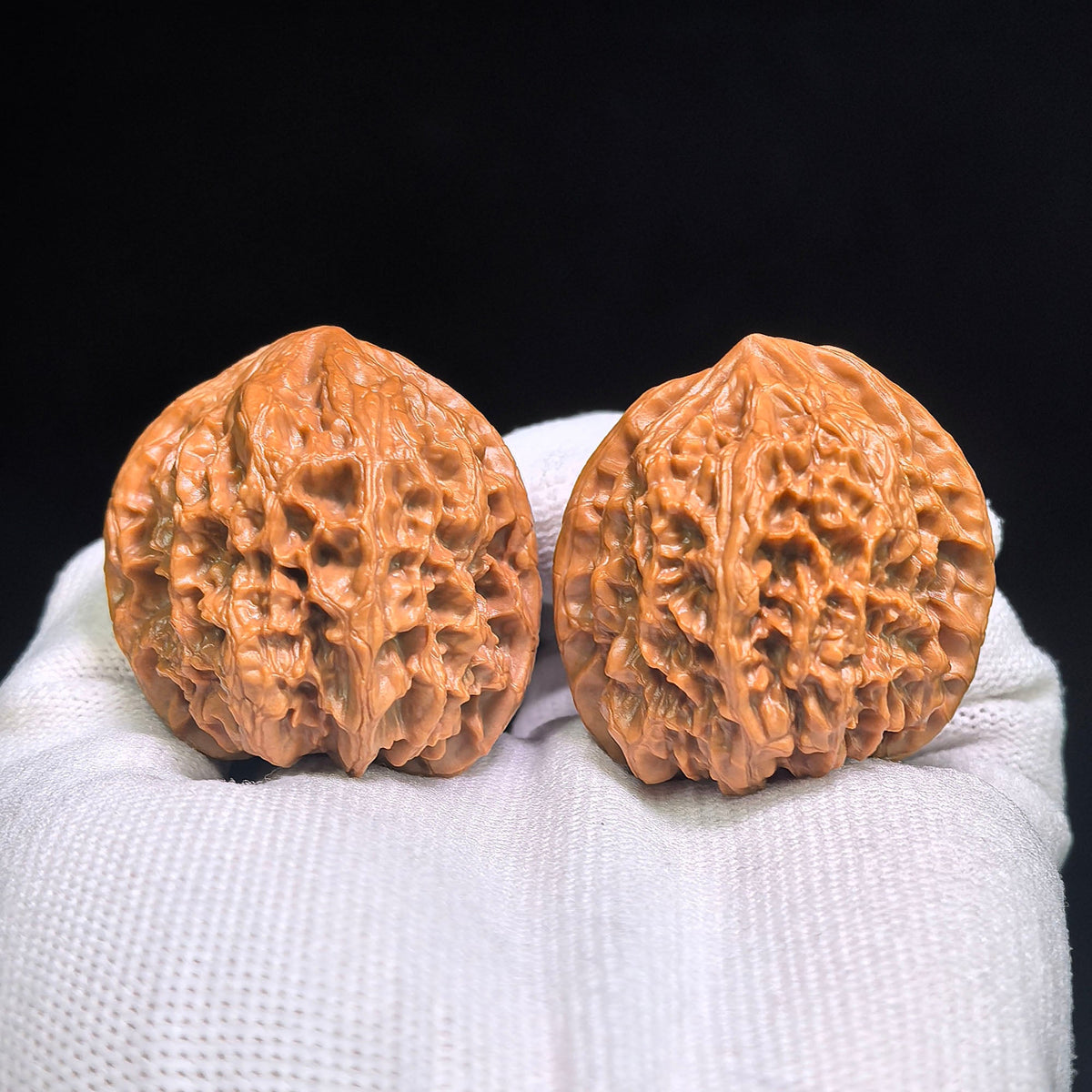 Wild-Form “Tian Can Jiao” Wenwan Walnuts Pair | Compact Sculptural Form | 33.0mm × 30.0mm | YSTCJ-C1E0E - ThePatinaProject