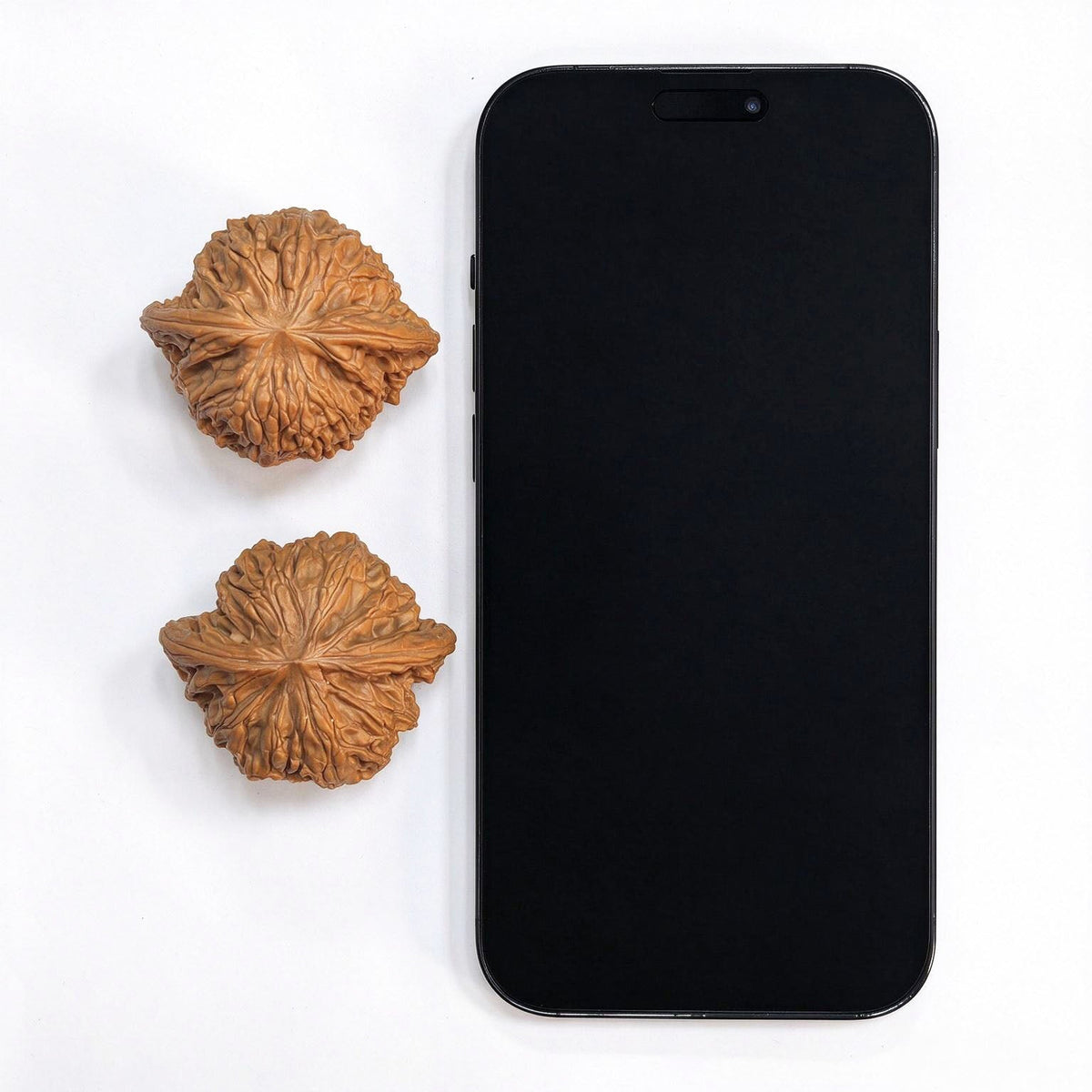 "Wild Mo Pan / Grinding Stone" Heirloom Collection Wenwan Walnuts Pair | 44.0mm x 39.0mm | MP-1113 - ThePatinaProject