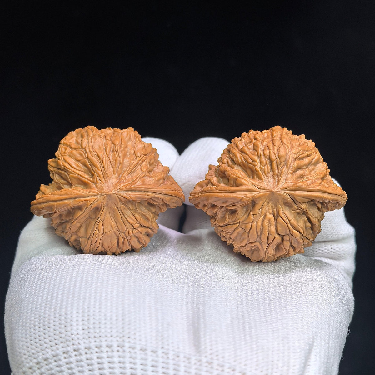 "Wild Mo Pan / Grinding Stone" Heirloom Collection Wenwan Walnuts Pair | 44.0mm x 39.0mm | MP-1113 - ThePatinaProject