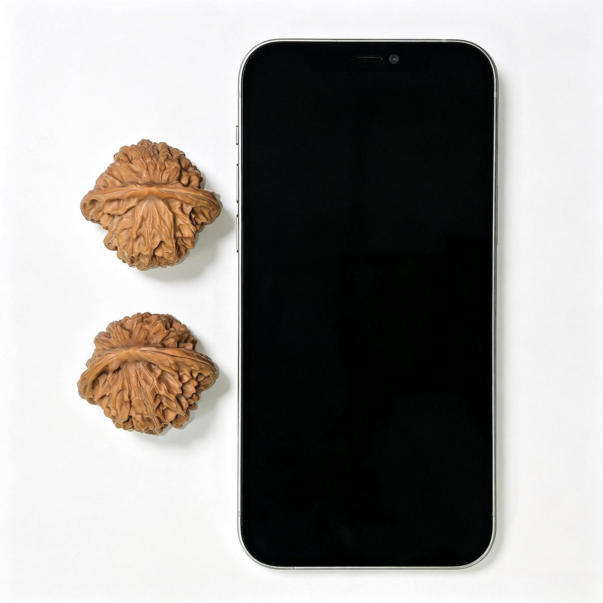 Wild Panshan Wenwan Walnut Pair | Compact Natural Form | 37.0mm × 33.0mm | YSPS-1101 - ThePatinaProject