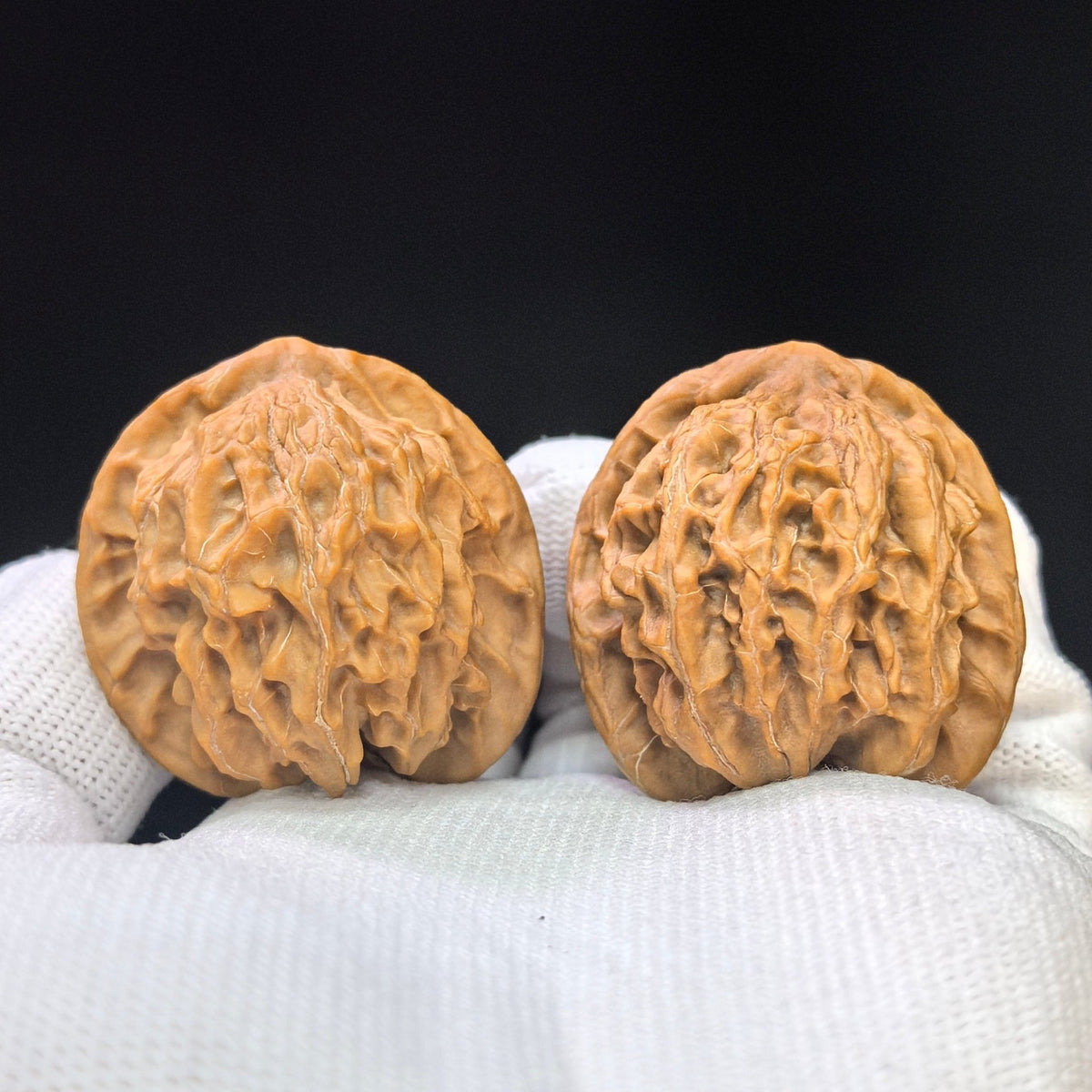 Wild Panshan Wenwan Walnut Pair | Compact Natural Form | 37.0mm × 33.0mm | YSPS-1101 - ThePatinaProject