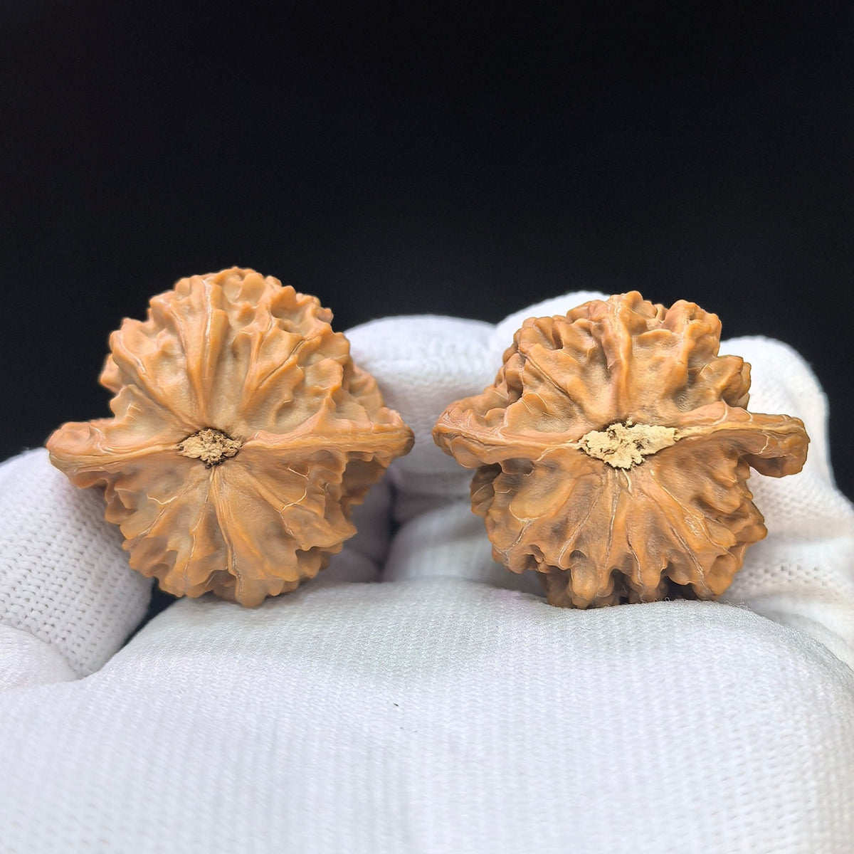 Wild Panshan Wenwan Walnut Pair | Compact Natural Form | 37.0mm × 33.0mm | YSPS-1101 - ThePatinaProject
