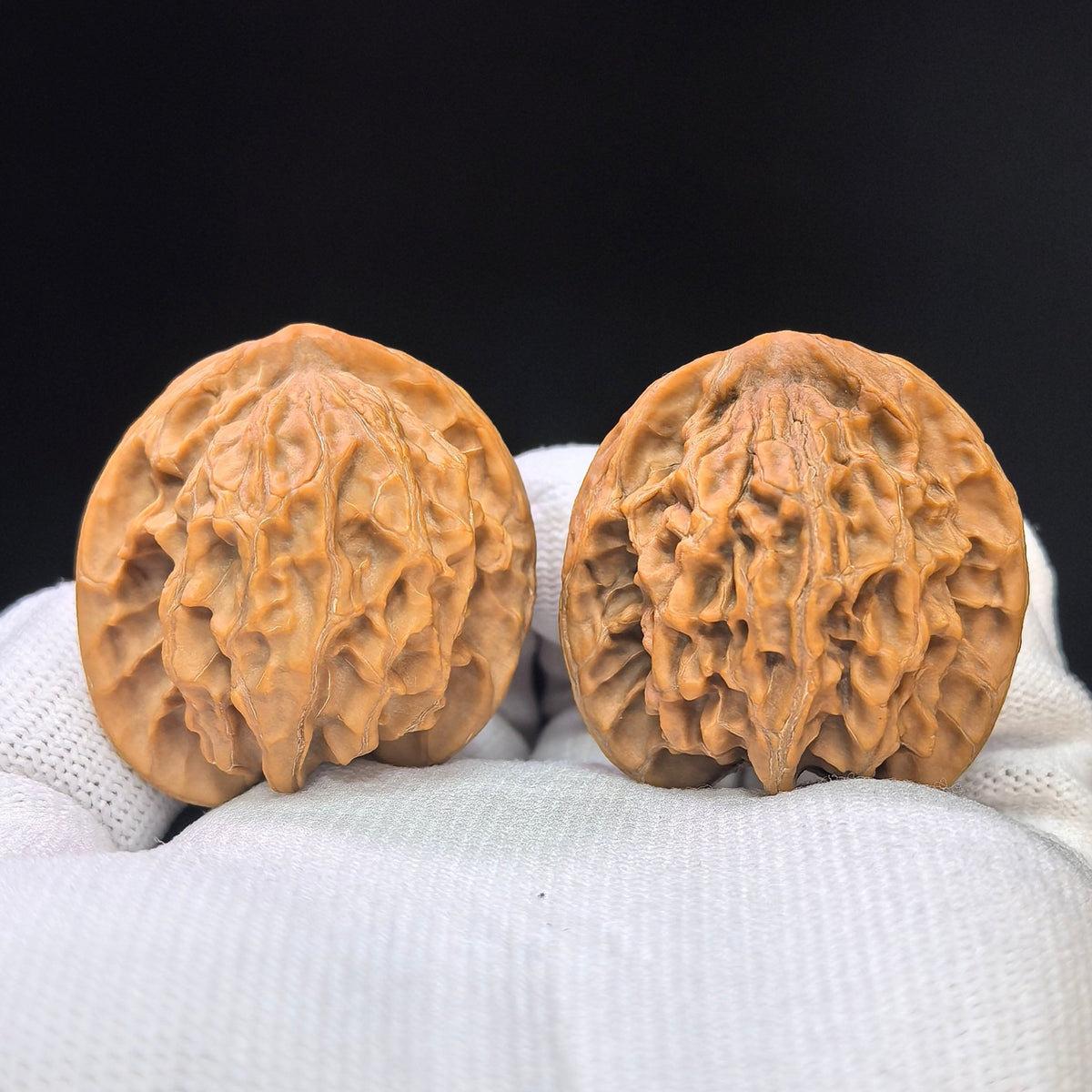 Wild Panshan Wenwan Walnut Pair | Compact Natural Form | 37.0mm × 33.0mm | YSPS-1101 - ThePatinaProject