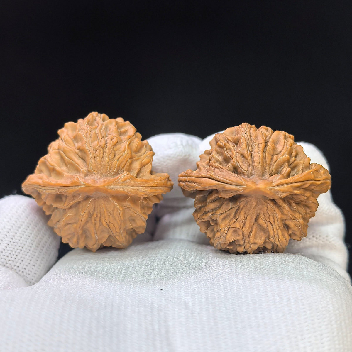 Wild Panshan Wenwan Walnut Pair | Compact Natural Form | 37.0mm × 33.0mm | YSPS-1101 - ThePatinaProject