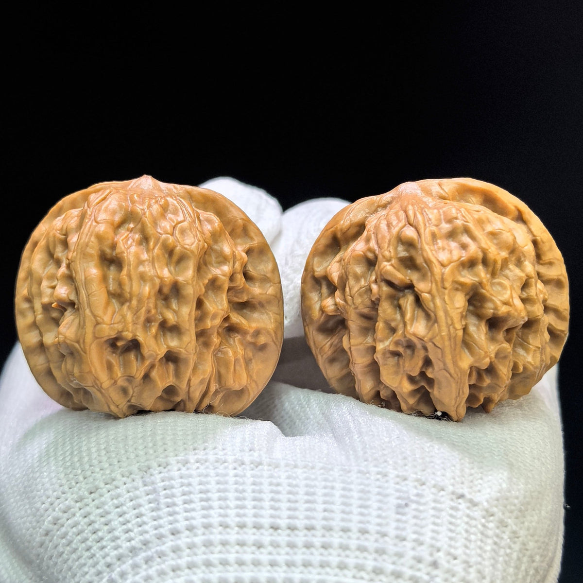 “Wild Wolf” Wenwan Walnuts Pair | Rounded Compact Form | 38.0mm × 38.0mm | YL-1602 - ThePatinaProject