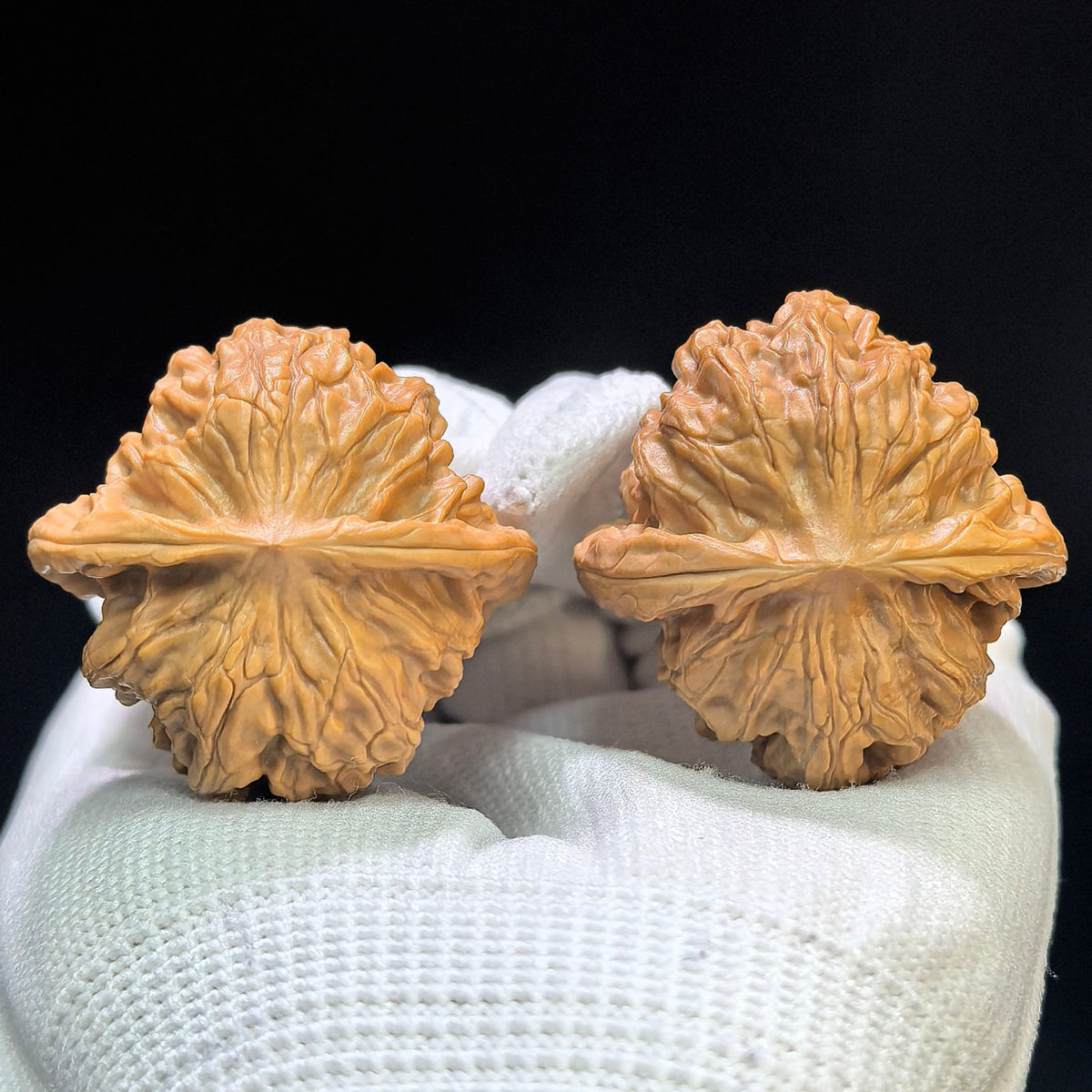 “Wild Wolf” Wenwan Walnuts Pair | Rounded Compact Form | 38.0mm × 38.0mm | YL-1602 - ThePatinaProject