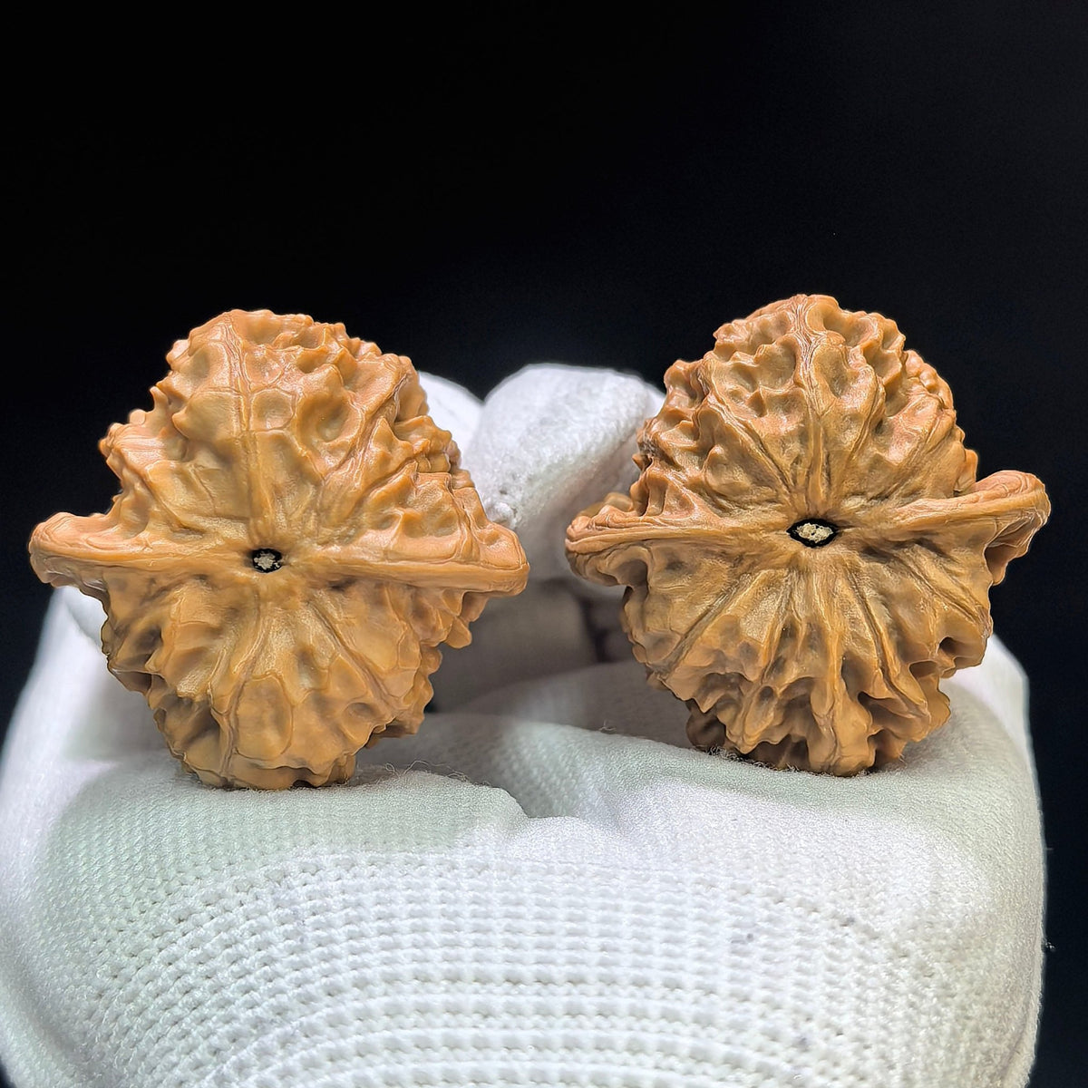“Wild Wolf” Wenwan Walnuts Pair | Rounded Compact Form | 38.0mm × 38.0mm | YL-1602 - ThePatinaProject