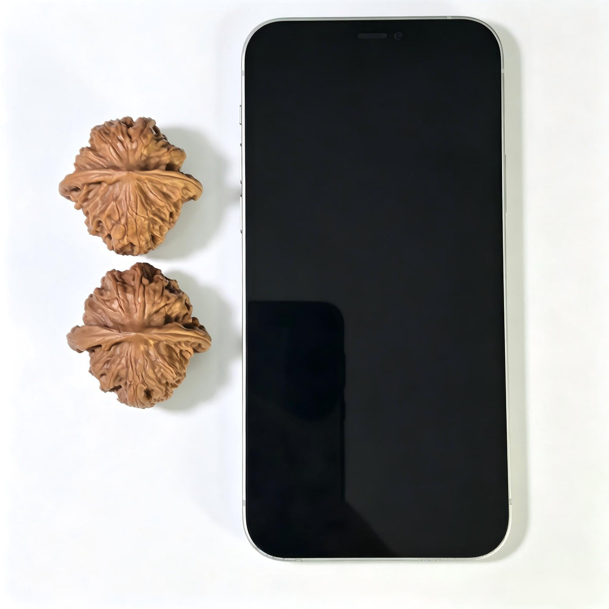 “Wild Wolf” Wenwan Walnuts Pair | Rounded Compact Form | 38.0mm × 38.0mm | YL-1602 - ThePatinaProject