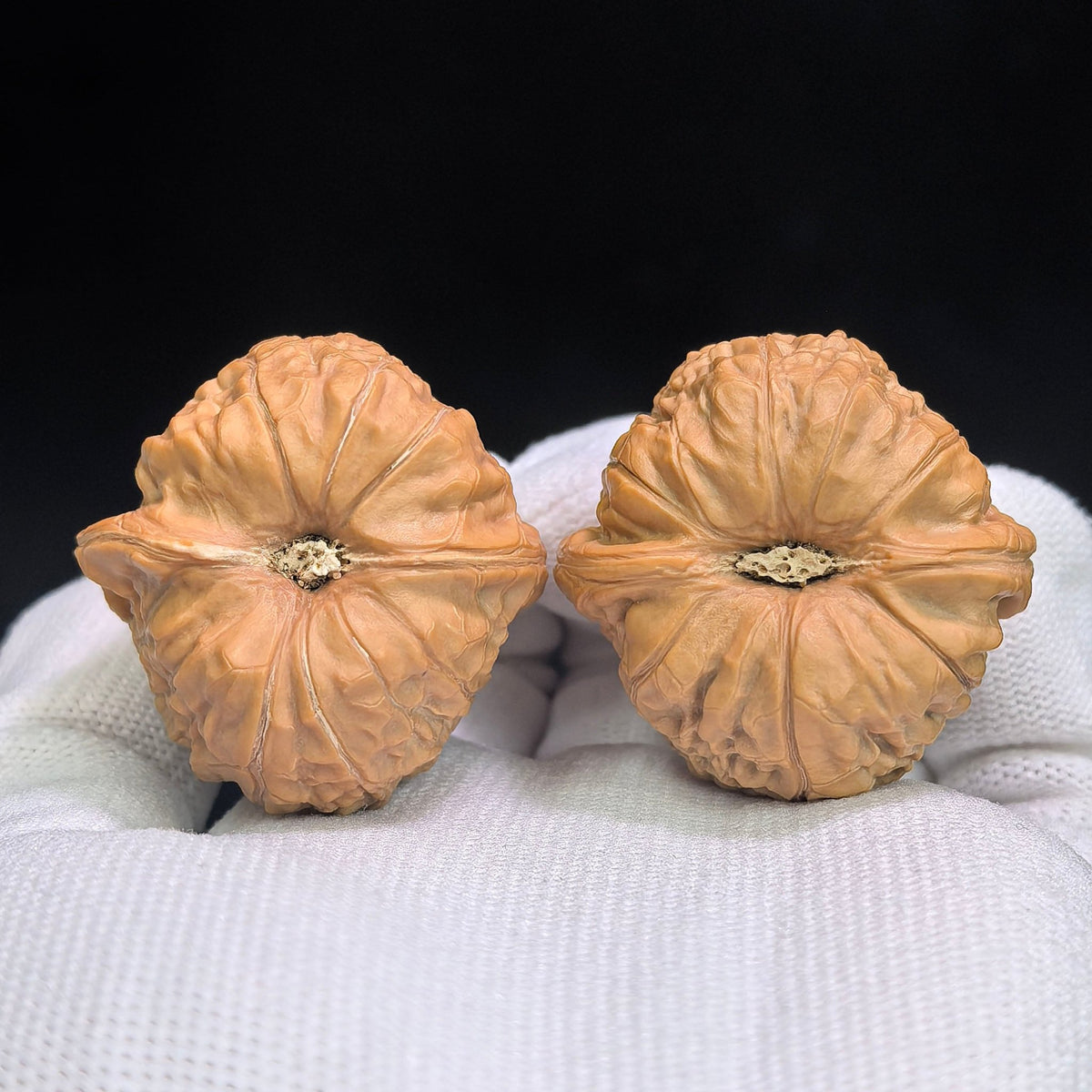 "Xiao Nan Gua Ao Di Zuo Shan Diao" NGDZSD-CG1A8E Collector Lineage Wenwan Walnuts Pair | 38.0mm x 38.0mm | Stock ID: NGDZSD-CG1A8E - ThePatinaProject