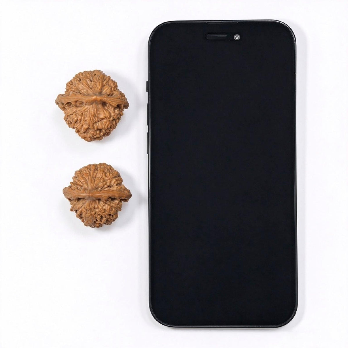 “Xiaocunzhang” Mini Official Hat Wenwan Walnut Pair | 32.0mm × 30.0mm | GM-SY1G1 - ThePatinaProject